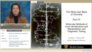 Molecular Basis Of Heredity: Part 4. Gene Identification And Tests ...